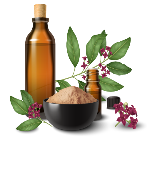 Sukh Nirog Ayurved Treatment